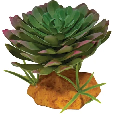 Productafbeelding van Repto Kunstplant Echeveria voor terrarium 17 cm schuilplaats voor reptielen