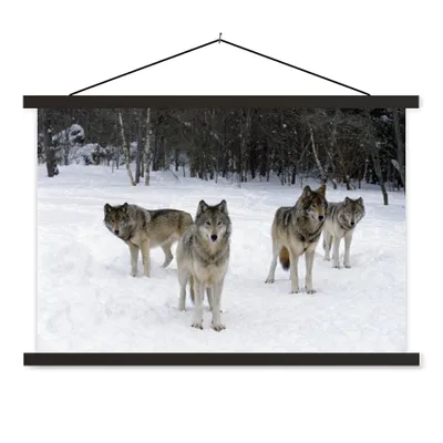 Produktbild von MuchoWow® Textilposter Wolf - Schnee - Kanada 60x40 cm mit schwarzem Rahmen - Hölzernes