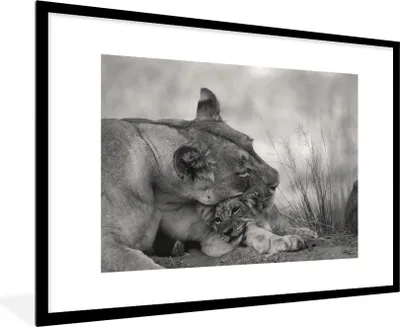 Produktbild von MuchoWow® Gerahmtes Poster Löwin - Jungtier - Schwarz 90x60 cm - Poster mit Schwarzem Bilderrahmen Wandposter Rahmen Foto Bilder - Wanddekoration - Fotos
