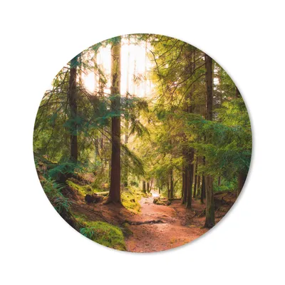 Produktbild von MuchoWow® Mauspad Mousepad Wald - Weg - Bäume - Grün - Sonne - Natur 20x20 cm - Mousepads - Maus Mat - Pad - Mausunterlage - Schreibtischmatte