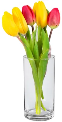 Produktbild von Alessandro Blumenvase klassisch - transparentes Glas - 15 x 30 cm - gerades Modell - Blumenstrausvas