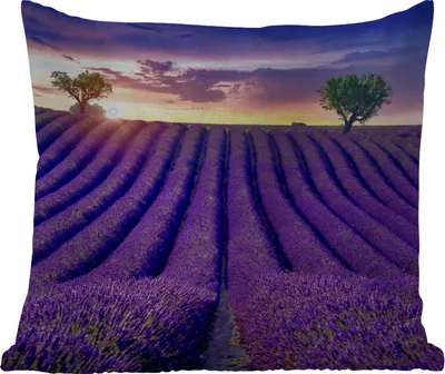 Produktbild von MuchoWow® Outdoor Kissen - Lavendel - Hügel - Sonnenuntergang - Bpmen - Lila - 60x60 cm - Wetterfest - Lounge Kissen - Dekoration - Schlaf Kissen