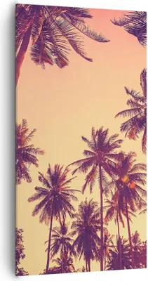 Produktbild von Bild auf Leinwand - Leinwandbild - Einteilig - Palmen Himmel Sonne - 65x120cm - Wand Bild - Wanddeko - Wandbilder - Leinwanddruck - Bilder - Wanddekoration - Leinwand bilder - Wandbild - PA65x120-4220