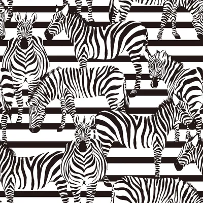 Obrázek produktu pro Samolepicí tapeta Zebra, rozměry 44,5 cm x 400 cm, design: džungle