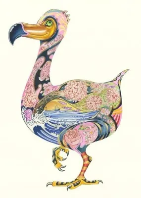 Immagine prodotto di Abbonamento A108 B6 + busta "Uccello dodo" - DM Collection