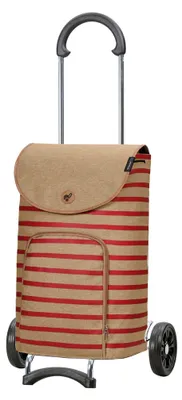 A shopping trolley with a striped fabric bag and wheels, shown against a white background.