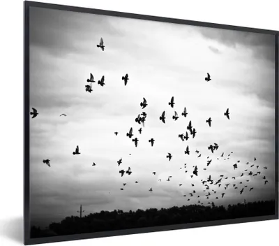 Produktbild von MuchoWow® Gerahmtes Poster Tiere - Vögel - Wolken - Schwarz - Weiß 80x60 cm - Poster mit Schwarzem Bilderrahmen Wandposter Rahmen Foto Bilder - Schwarzem - Mit Gestell