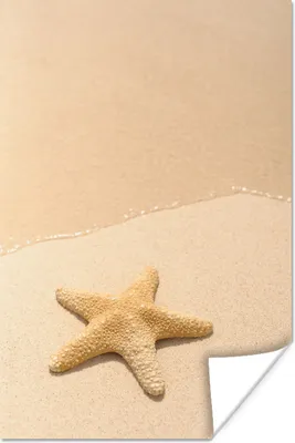 Produktbild von MuchoWow® Poster Seestern - Strand - Gelb 40x60 cm - Plakate für die Wand - Poster Babyzimmer