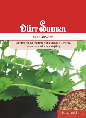 Produktbild von Dürr-Samen - Koriander - Saatgut - 0198
