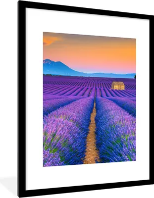 Produktbild von MuchoWow® Gerahmtes Poster Lavendel - Lila - Blumen 60x80 cm - Poster mit Schwarzem Bilderrahmen Wandposter Rahmen Foto Bilder - Wohnzimmer - Dekorationen - Prämie