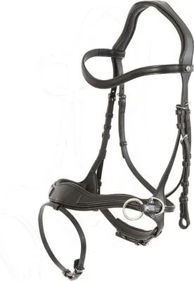 Image de Bridon Trust Equestrian Falsterbo T-Motion Bridon combiné anglais marron/or Cob