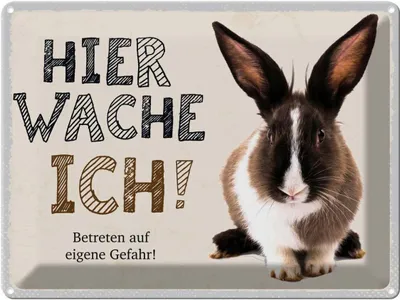 Produktbild von vianmo Blechschild 30x40 cm Hase hier wache ich eigene Gefahr Spruch Zitat