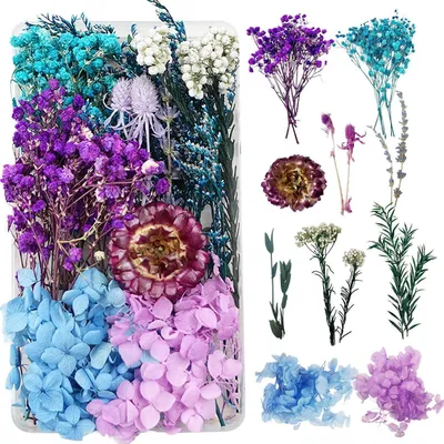 Produktbild von Getrocknete Blumen für Harz, Kerzen, Deko Blau Violett