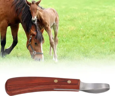 Produktbild von Famanu Hufschneider mit Holzgriff - Hufpflege Reinigungswerkzeug - Edelstahl