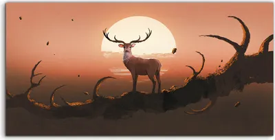 Produktbild von Coloray - Glasbild - 120x60 cm - Wandbild - Glasbilder - der Hirsch Tiere Sonnenuntergang