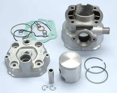 Immagine prodotto di Gruppo termico POLINI D.50 corsa 40 78,6cc cilindro in ghisa