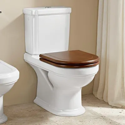 Immagine prodotto di Villeroy & Boch Hommage Wc per combinazione - 666210 370x725mm Bianco Alpine ceramicplus - 666210R1