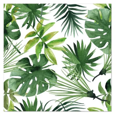 Immagine prodotto di 20 tovaglioli Monstera - Miscela di foglie di palma 33x33cm