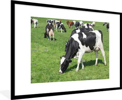 Produktbild von MuchoWow® Gerahmtes Poster Kuh - Tiere - Gras - Sonne 90x60 cm - Poster mit Schwarzem Bilderrahmen Wandposter Rahmen Foto Bilder - Wanddekoration - Fotos