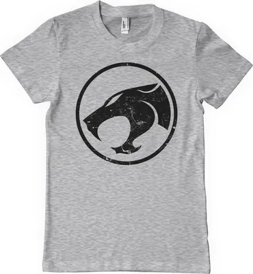 Produktbild von Thundercats Washed Logo T-Shirt - Small - HeatherGrey