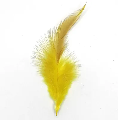 Immagine prodotto di Piume di gallo, circa 10-15 cm, 50 pezzi, giallo