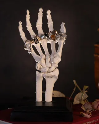Produktbild von Skeletthand als Schmuckständer für Ringe & Ketten