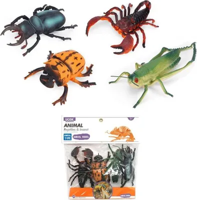 Image de Insectes (4 pièces) - Trifox