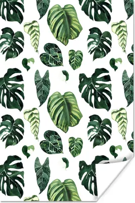 Produktbild von MuchoWow® Poster Tropisch - Blätter - Grün 20x30 cm - Papierdruck
