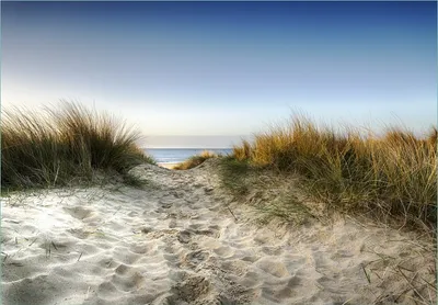 Produktbild von Wallario Fototapete Vliestapete, seidenmatte Oberfläche, einfache Verarbeitung, Größe 200 x 140 cm, Motiv Weg durch die Dünen zum Strand am Meer