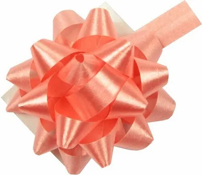 Produktbild von 10 Geschenkschleifen Rosetten 4cm , Farbe:apricot