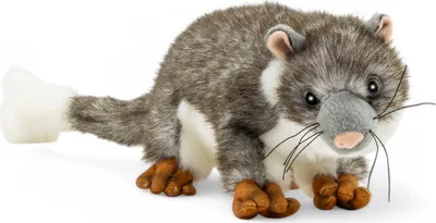 Immagine prodotto di Carl Dick opossum di circa 22 cm, peluche, peluche, peluche 3727