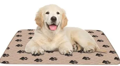 Image de Couche lavable pour incontinence - 4 couches - Absorbante - Imperméable - 80 x 90 cm - Matériau de qualité supérieure - Convient au sèche-linge - Tapis pour chiens