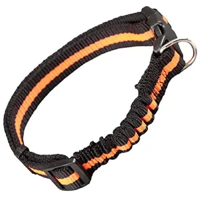 Productafbeelding van Halsband van nylon voor kleine en middelgrote honden