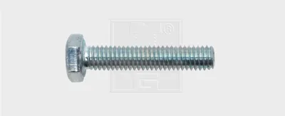 Immagine prodotto di SWGAutomotive Vite a testa esagonale 05763080 30mm 4,0mm acciaio in blister