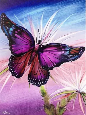 Produktbild von Malen nach Zahlen 5d Diamond Painting Schmetterling Malen nach Zahlen 15x20cm