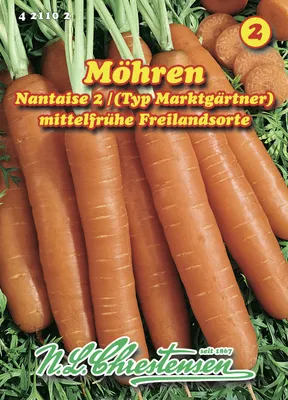 Artikelbild 1 von 'Speisemöhre Nantaise 2' aus der Kategorie Möhrensamen