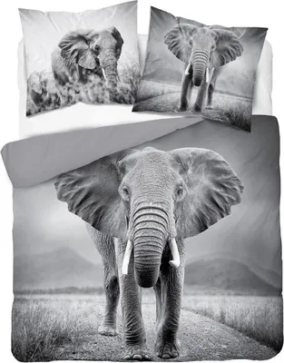 Produktbild von DETEXPOL Französisch Leinen Elefant Baumwolle, 220/200, 2x70/80 cm