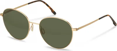 Produktbild von Rodenstock R1447 Gold, havana 56/19/145 Uni Sonnenbrillen