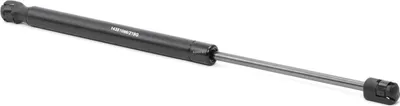 Produktbild von RIDEX 219G0862 Gasfeder Heckklappendämpfer für CHEVROLET Aveo / Kalos Schrägheck (T250, T255) 386,5mm