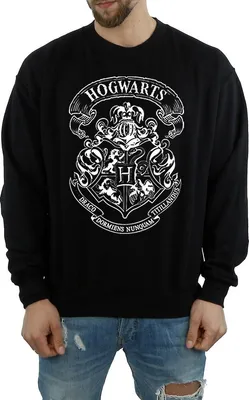 Produktbild von Harry Potter - Sweatshirt für Herren BI700 (M) (Schwarz)