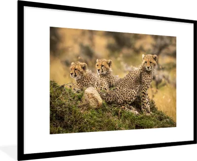 Produktbild von MuchoWow® MuchoWow® Gerahmtes Poster Leopard - Wald - Tier 90x60 cm - Poster mit zchwarzem Bilderrahmen - Wanddekoration - Fotos