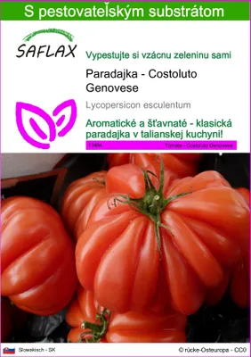 Obrázok produktu pre SAFLAX - Paradajka - Costoluto Genovese - Lycopersicon esculentum - 10 Semená - S pestovateľským substrátom bez klíčkov