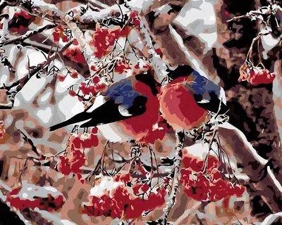 Produktbild von Zuty - Malen nach Zahlen - VÖGLEIN IN DEN VOGELBEEREN, 40x50 cm, ohne Keilrahmen