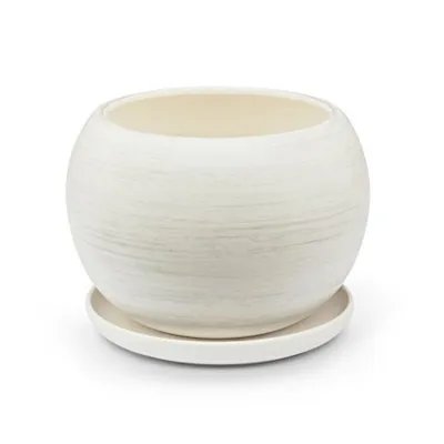 A white ceramic pot with a saucer on a white background.