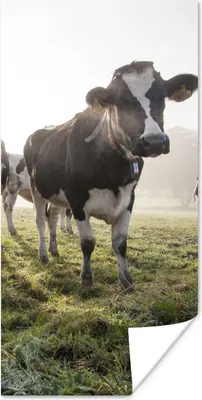 Produktbild von MuchoWow® Poster Kuh - Gras - Nebel 20x40 cm - Plakat - Foto