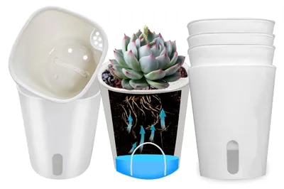 Produktbild von 7,5 cm Sukkulententöpfe mit Bewässerungssystem, 10er Set Plastik-Kaktustöpfe, Mini-Blumentöpfe mit Dochtsystem, Kleine Blumentöpfe für Zimmerpflanzen in Rund Weiß