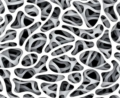 Image de Sanders & Sanders papier peint panoramique motif figurativ noir, blanc et gris 375 x 270 cm