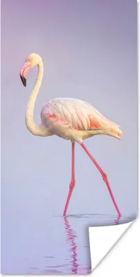 Produktbild von MuchoWow® Poster Flamingo - Wasser - Rosa 60x120 cm - Wandschmuck