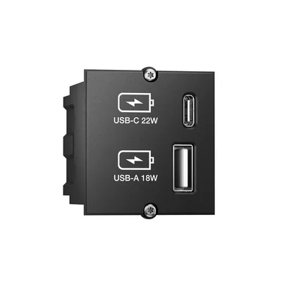 Image de Bachmann Custom module - Modulares Faceplate-Snap-In - USB Type A, USB Typ C - Schwarz