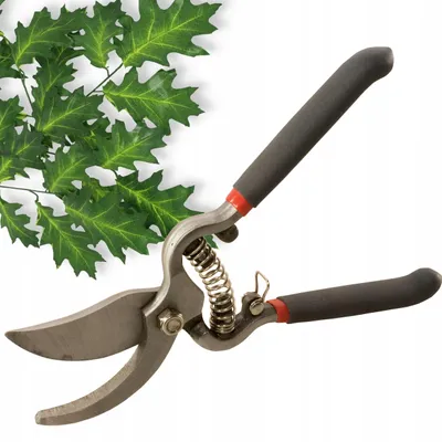 Obrázek produktu pro Proline Tools 40012, 1 kusů